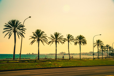 Similar image 10441910