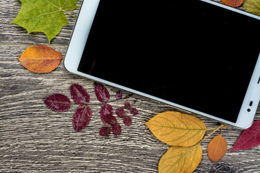 Similar image 10441912