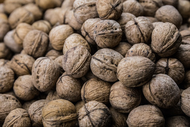 Similar image 10441914