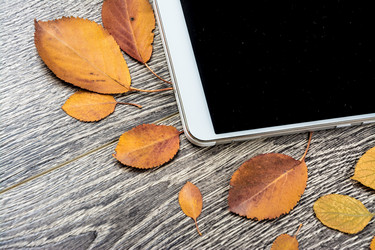 Similar image 10441922