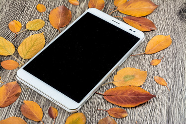 Similar image 10441924