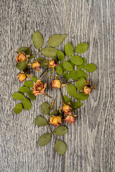 Similar image 10441929