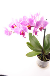 Similar image 10441931