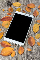 Similar image 10441942