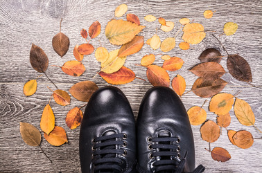 Similar image 10441945