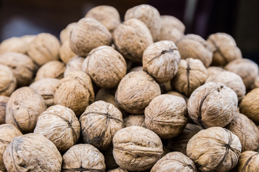 Similar image 10441948