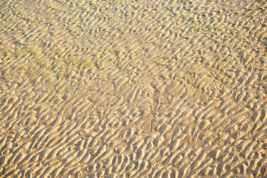 Similar image 10441965