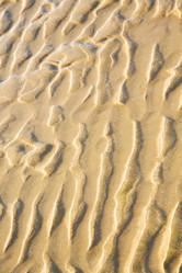 Similar image 10441966