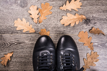 Similar image 10441996