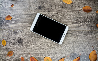 Similar image 10442004