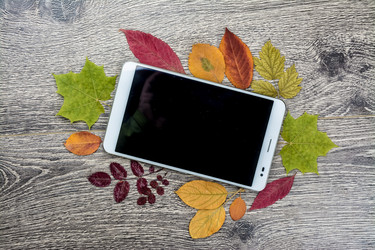 Similar image 10442005