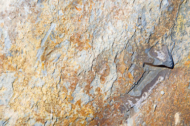 Similar image 10442024