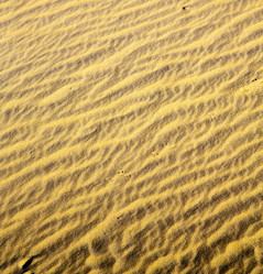 Similar image 10442025