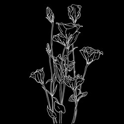 Similar image 10442243