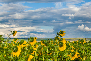 Similar image 10442280