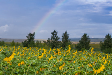 Similar image 10442281