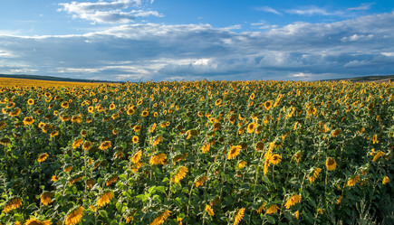 Similar image 10442282