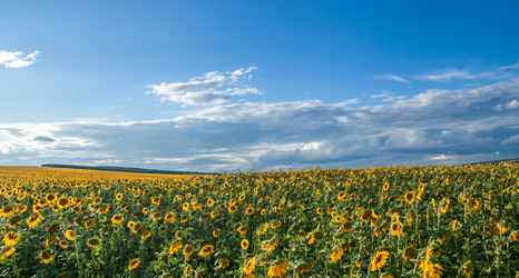 Similar image 10442283