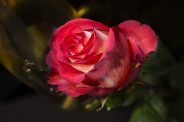 Similar image 10442287