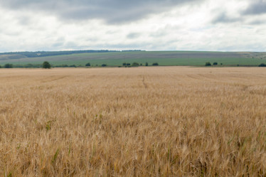 Similar image 10442300