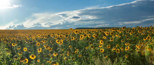 Similar image 10442301