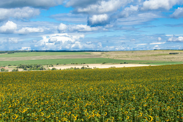 Similar image 10442302