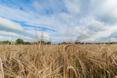 Similar image 10442319