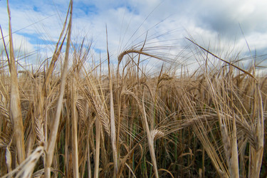 Similar image 10442320