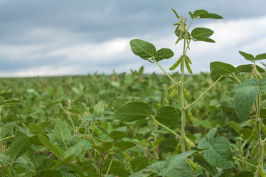 Similar image 10442321