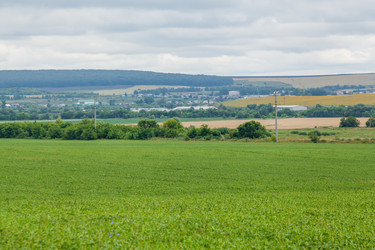 Similar image 10442322