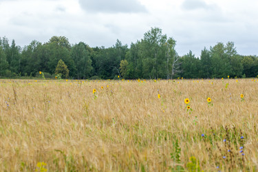 Similar image 10442323