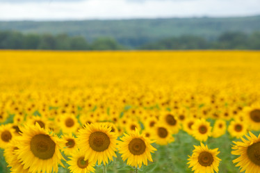 Similar image 10442325