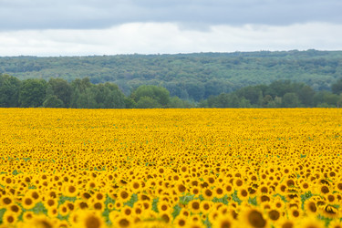 Similar image 10442326