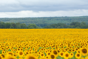 Similar image 10442327