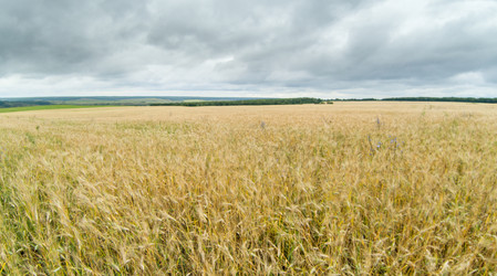 Similar image 10442328