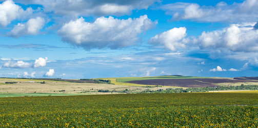 Similar image 10442340