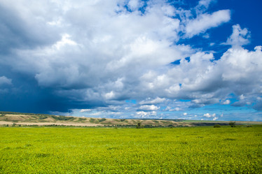 Similar image 10442341