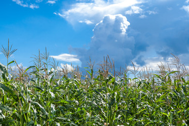 Similar image 10442342