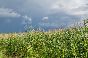 Similar image 10442343