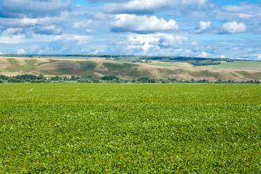 Similar image 10442345