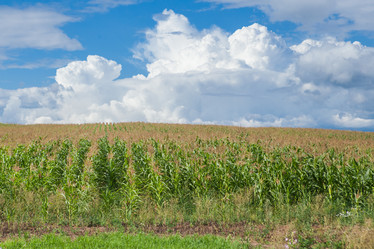 Similar image 10442346