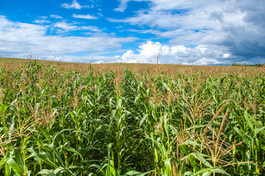 Similar image 10442350