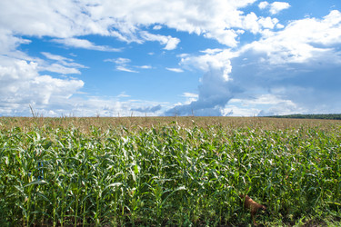 Similar image 10442351