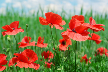 Similar image 10442379