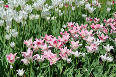 Similar image 10442415