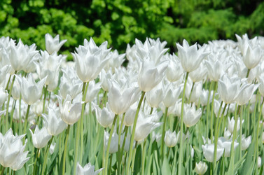 Similar image 10442416