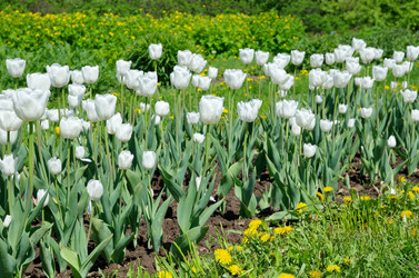 Similar image 10442419