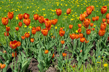 Similar image 10442420