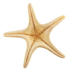 Similar image 10442422