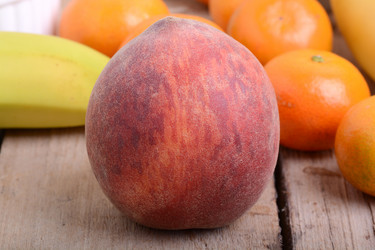 Similar image 10442456